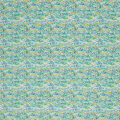 RM Coco SPIT SPOT CARIBE