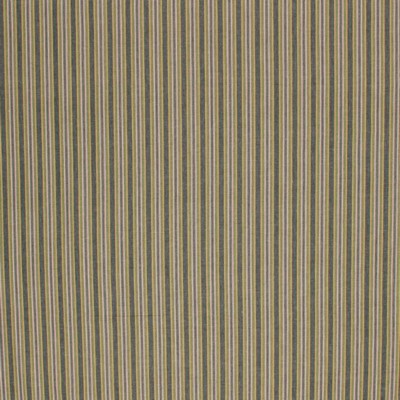 RM Coco OJAI STRIPE FERN