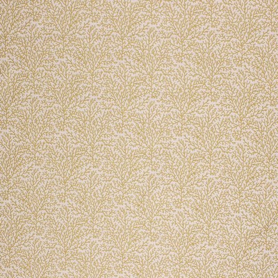 RM Coco CORAL REEF LIME