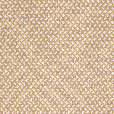 RM Coco OVERLAY SPRING