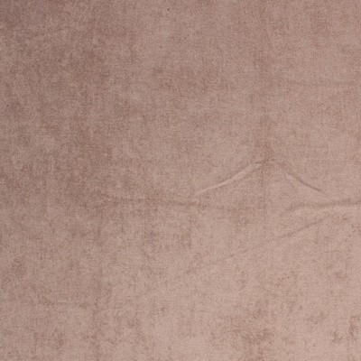 RM Coco Ascot Platinum