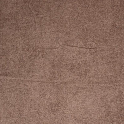 RM Coco Ascot Chinchilla