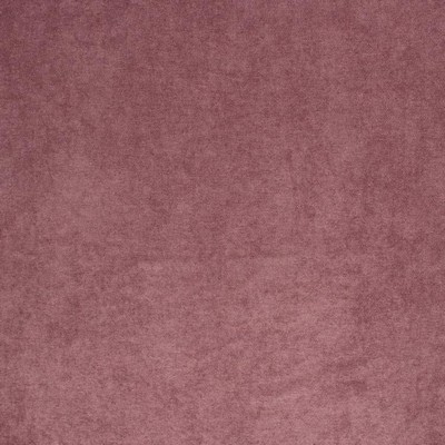 RM Coco Ascot Heather