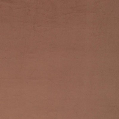 RM Coco Esquire Fawn