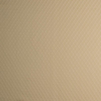 RM Coco Dutchess Sunshine