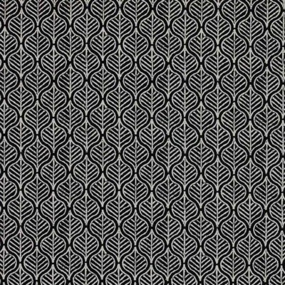 RM Coco Foliage Tour Onyx