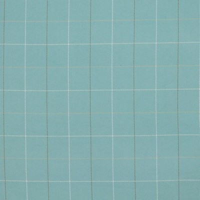 RM Coco Chesteron Check Sea Glass