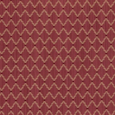 RM Coco Carlyle Begonia