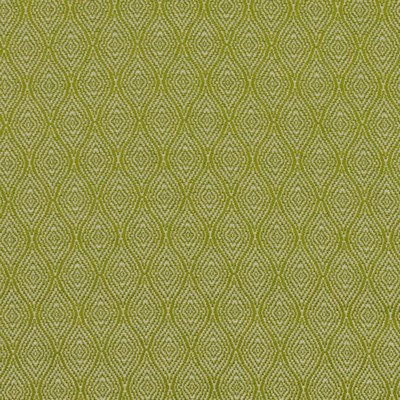 RM Coco Ogee Trellis Fern