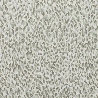 RM Coco Jungle Boogie Safari