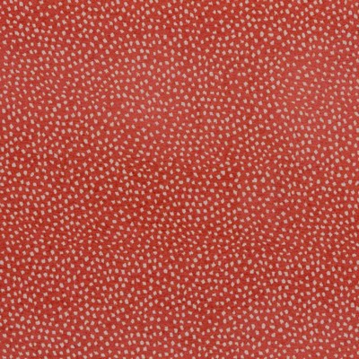 Flurry Coral RM Coco Flurry Coral