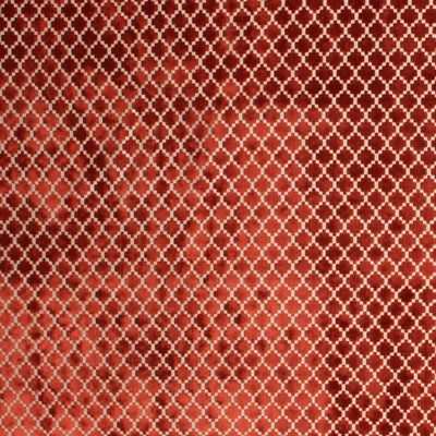 RM Coco Pique Trellis Orange