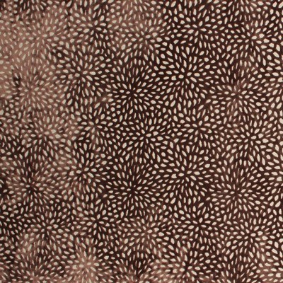 RM Coco Ikebana Mocha