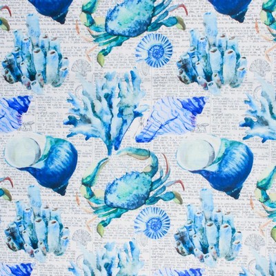 RM Coco Beach Party Clarity