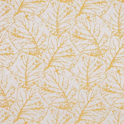 RM Coco Tree House Forsythia