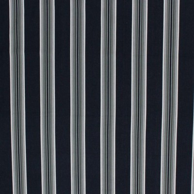 RM Coco High Chaparral Stripe Onyx