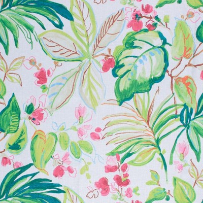 RM Coco Tortola Palm