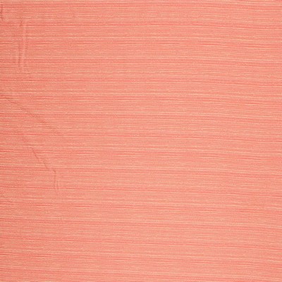 RM Coco Tidal Pool IO Coral