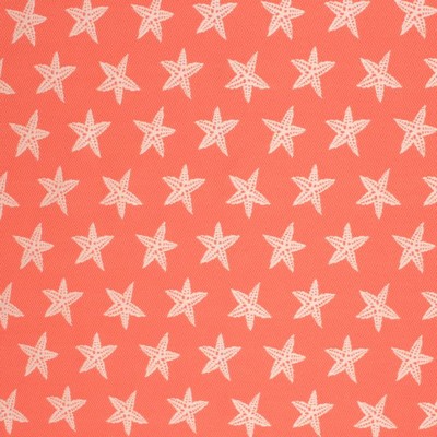 RM Coco Star Dance IO Firecracker