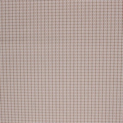 RM Coco Tiny Bubbles IO Sand