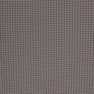 RM Coco Tiny Bubbles IO Midnight