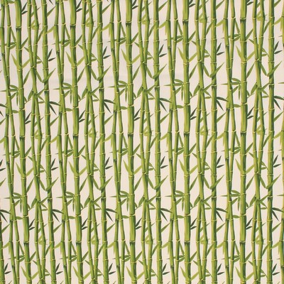 RM Coco Bamboo Garden IO Cream