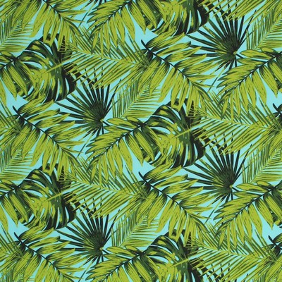 RM Coco Na Pali Garden IO Aruba