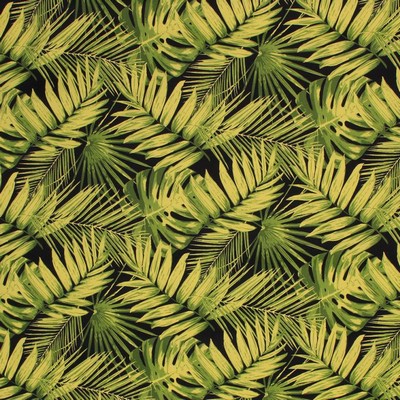 RM Coco Na Pali Garden IO Ebony