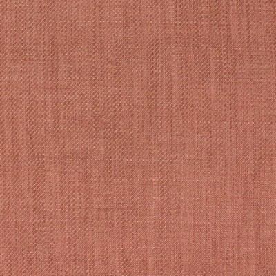 RM Coco Sutton Cotton Candy