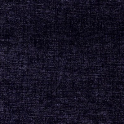 RM Coco Westover African Violet