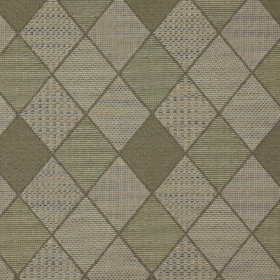 RM Coco Harlequin Herb