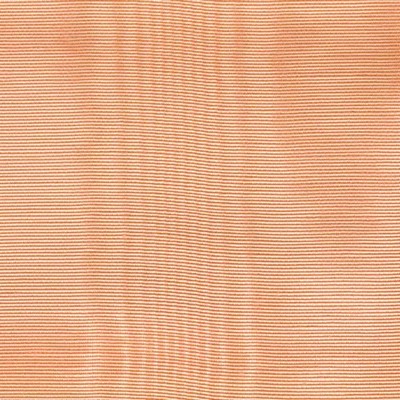 RM Coco CROWN MOIRE SHRIMP