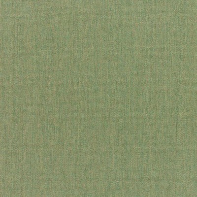 RM Coco Canvas - Sunbrella® Fern 5487-0000
