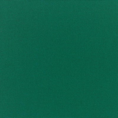 RM Coco Canvas - Sunbrella® Forest Green 5446-0000