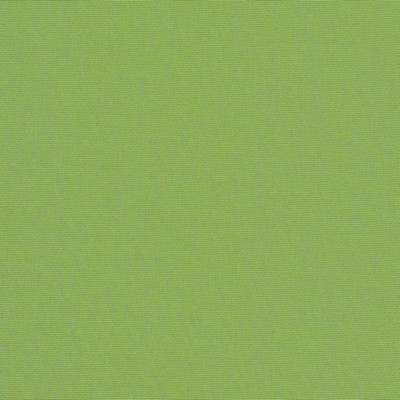 RM Coco Canvas - Sunbrella® Ginkgo 54011-0000
