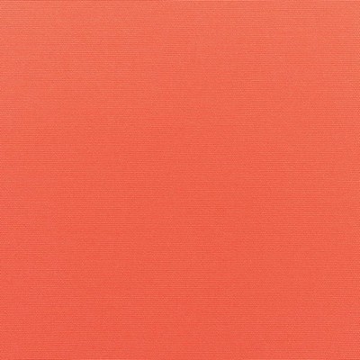 RM Coco Canvas - Sunbrella® Melon 5415-0000