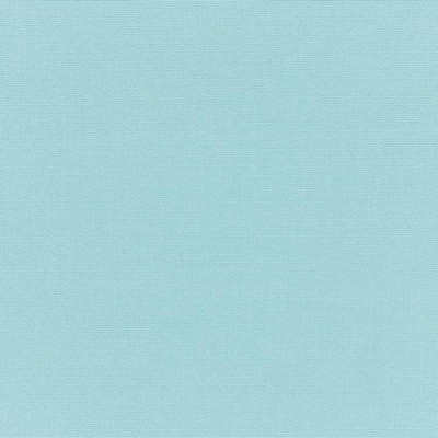 RM Coco Canvas - Sunbrella Mineral Blue 5420-0000