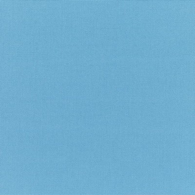 RM Coco Canvas - Sunbrella Sky Blue 5424-0000