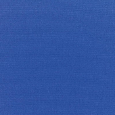 RM Coco Canvas - Sunbrella® True Blue 5499-0000