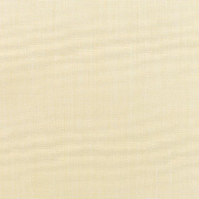 Canvas - Sunbrella® Vellum 5498-0000 RM Coco Canvas - Sunbrella® Vellum 5498-0000
