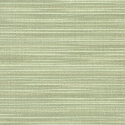 RM Coco Dupione - Sunbrella® Aloe 8068-0000