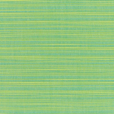 RM Coco Dupione - Sunbrella® Paradise 8050-0000