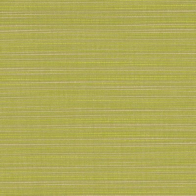 RM Coco Dupione - Sunbrella® Peridot 8024-0000
