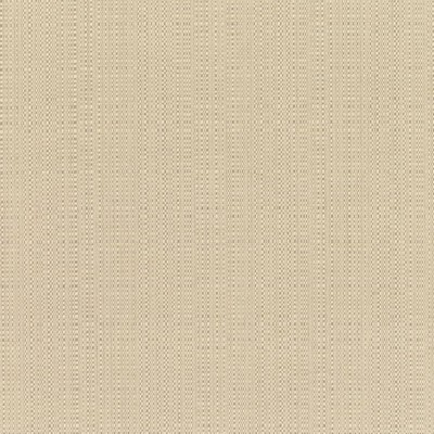 RM Coco Linen - Sunbrella® Champagne 8300-0000