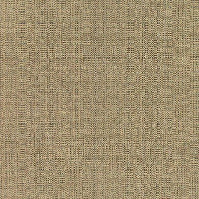 RM Coco Linen - Sunbrella® Pampas 8317-0000