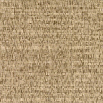 RM Coco Linen - Sunbrella® Sesame 8318-0000