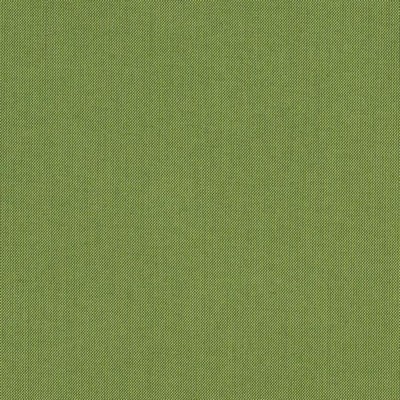 RM Coco Spectrum - Sunbrella® Cilantro 48022-0000