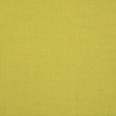RM Coco Spotlight - Sunbrella® Citron 15000-0008