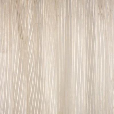 RM Coco Zavala Sugar Coated