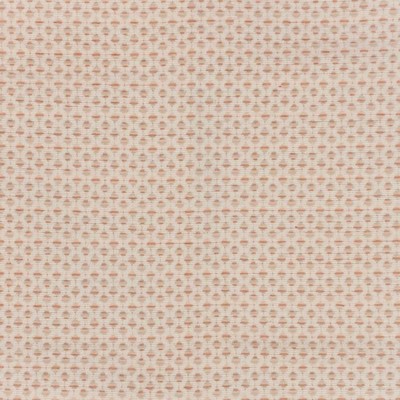 RM Coco Dream Catcher Shell